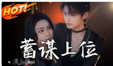 蓄谋上位